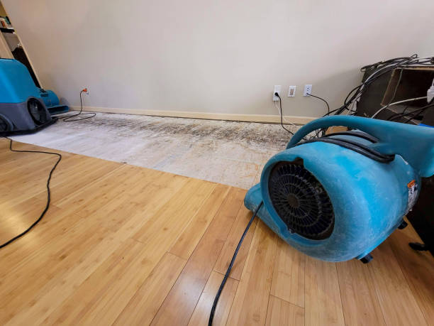 Professional Flood Damage Cleanup technician working in Augusta, MO